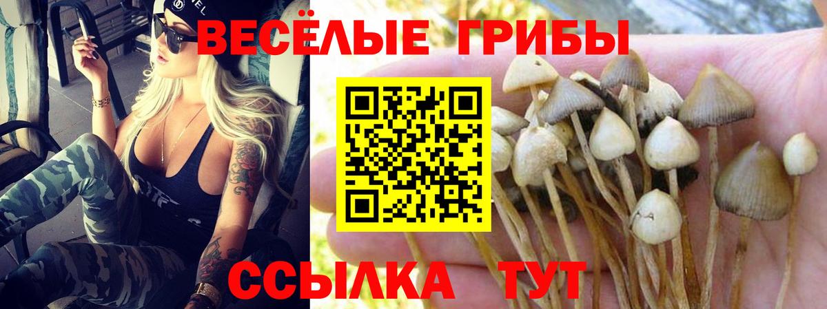 Галлюциногенные грибы Cubensis  наркотики  Галлюциногенные грибы ЛСД  Мурманск  Вход с VPN 